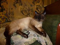 P1000055.JPG