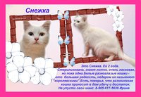 снежка обм.JPG