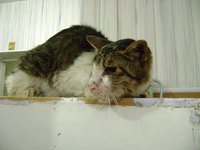 DSC00958.JPG