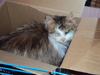 DSC01269.jpg