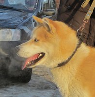 IMG_5192.jpg