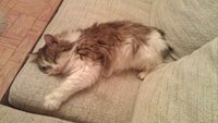 IMAG0538.jpg