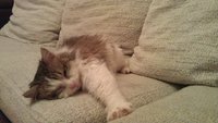 IMAG0540.jpg