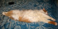 IMG_1689.JPG
