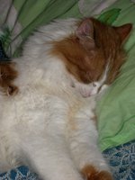 IMG_1711.JPG