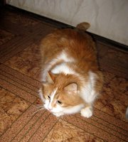 IMG_1716.JPG