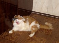 IMG_1727.JPG