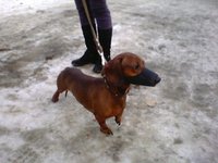 IMG00118.jpg