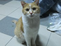 DSCN6730-2.jpg