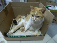 DSCN6721-1.jpg
