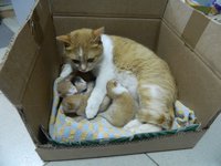 DSCN6702-1.jpg