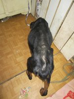 IMG_5215.jpg