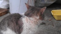 IMAG0532.jpg