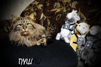 4.JPG (234.78 КБ) 2109 просмотров 4.JPG