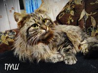 5.JPG (286.59 КБ) 2321 просмотр 5.JPG