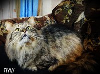 6.JPG (196.68 КБ) 2109 просмотров 6.JPG