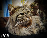 7.JPG (218.44 КБ) 2109 просмотров 7.JPG