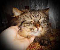 1.JPG (206.49 КБ) 2109 просмотров 1.JPG