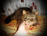 2.JPG (173.04 КБ) 2109 просмотров 2.JPG