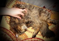 3.JPG (245.02 КБ) 2109 просмотров 3.JPG