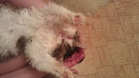 IMAG0556.jpg