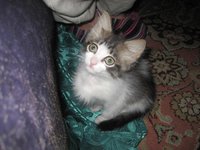 IMG_0395.JPG