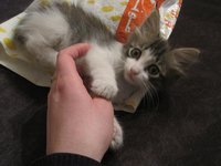 IMG_0397.JPG