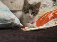 IMG_0400.JPG