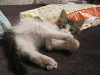 IMG_0403.JPG