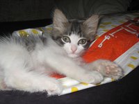 IMG_0406.JPG