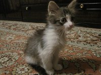 IMG_0408.JPG