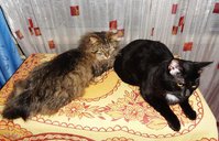 DSC03917.JPG