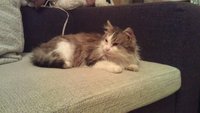 IMAG0092.jpg