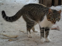 SAM_0161.JPG