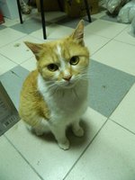 DSCN6747-3.jpg