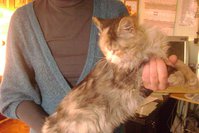 DSC07253.JPG