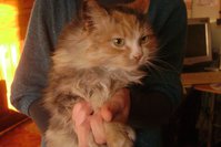DSC07254.JPG