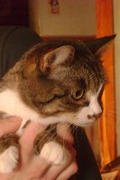DSC07262.JPG