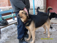 SDC12364.JPG