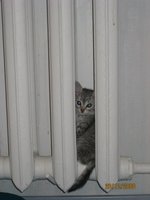IMG_0678.jpg