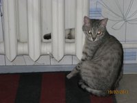 Анфи 002.jpg