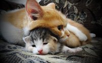 DSC04031.jpg