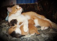 DSC04043.jpg