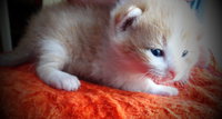 DSC04064.jpg