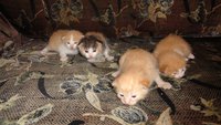 DSC04082.JPG