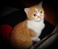 DSC04114.jpg