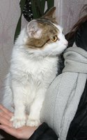 DSC00026.JPG