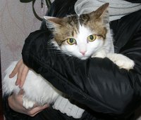 DSC00029.JPG