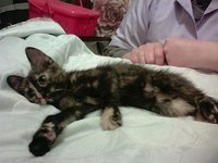 IMG00130.jpg
