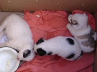 DSC00976.JPG